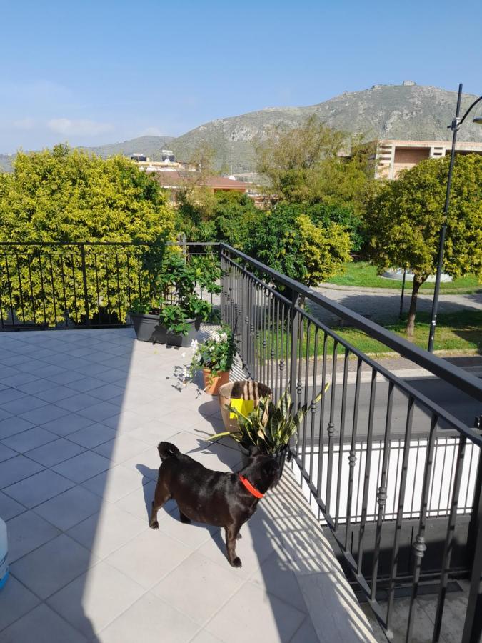 A Casa Di Falco モンドラゴーネ エクステリア 写真